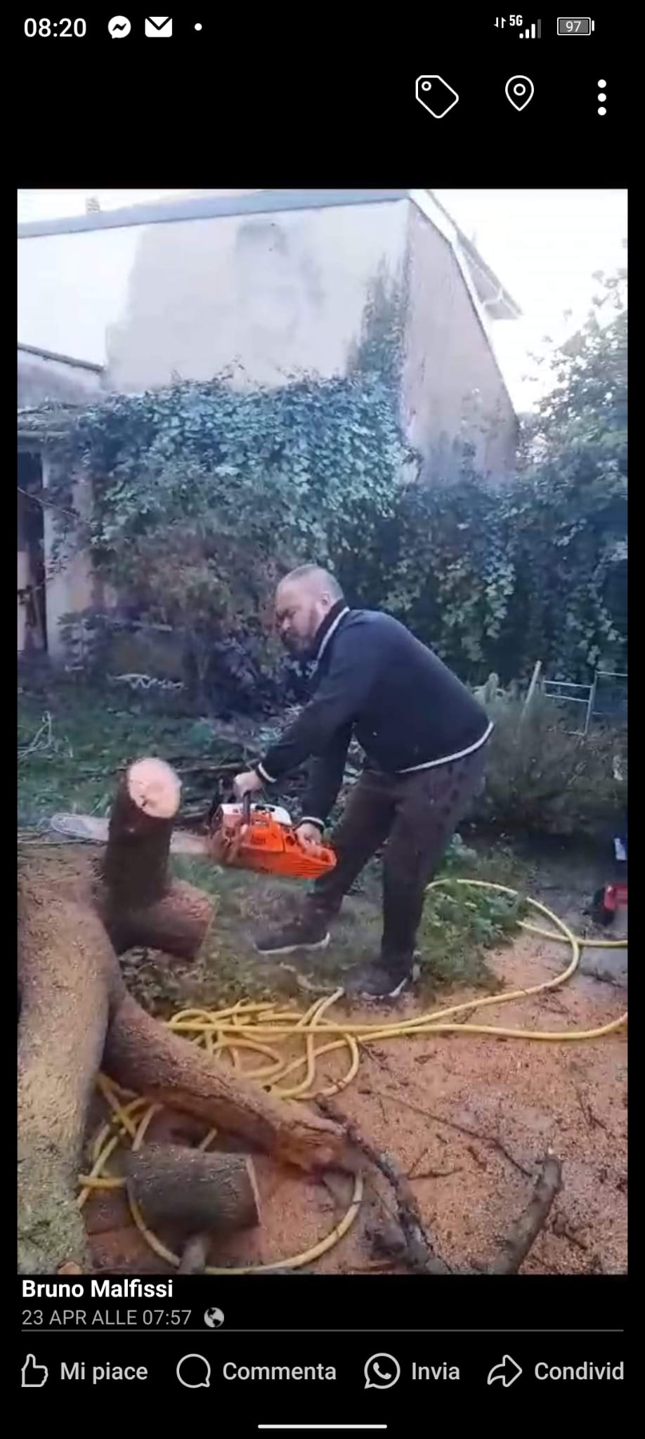 Lavoro Bruno Trasporti Torino